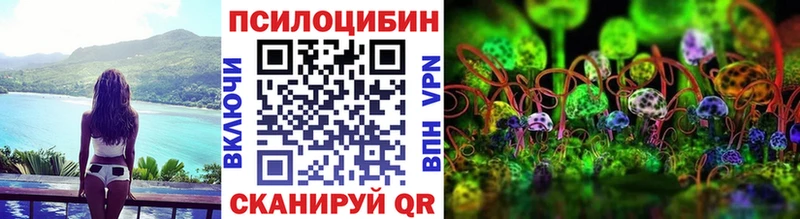 закладка  Гдов  Псилоцибиновые грибы Magic Shrooms 